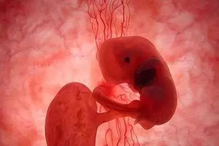 卵巢早衰怀孕会胎停吗？胎停应该怎么办？